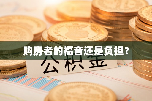 工业园区购房者的福音还是负担？