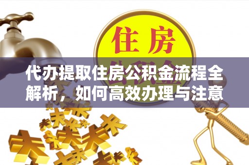 工业园区代办提取住房公积金流程全解析，如何高效办理与注意事项
