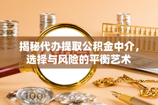 工业园区揭秘代办提取公积金中介，选择与风险的平衡艺术